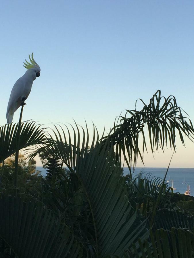 Bed and Breakfast Island Views Airlie Beach Exterior foto