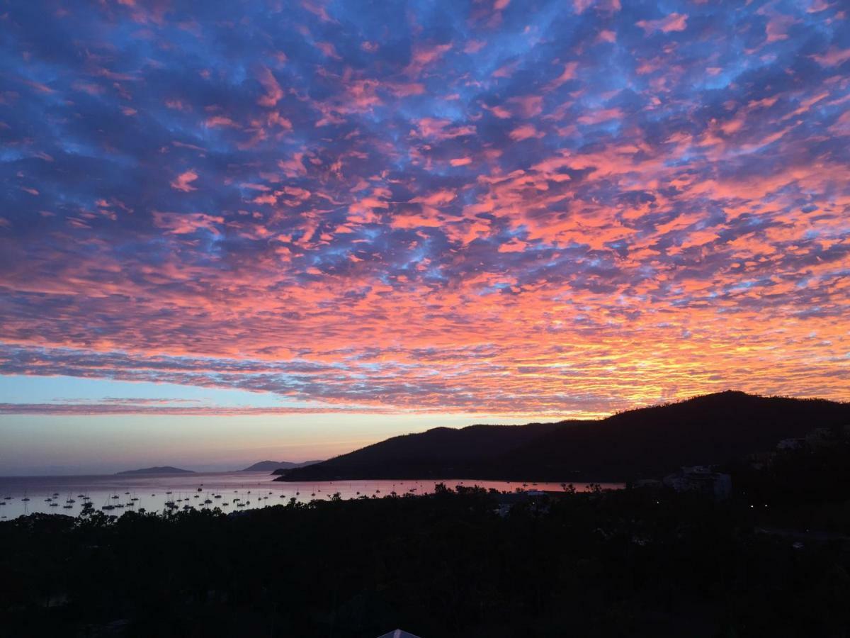 Bed and Breakfast Island Views Airlie Beach Exterior foto